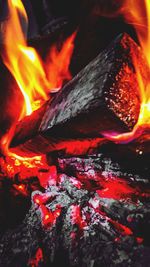 Close-up of fire on log at night