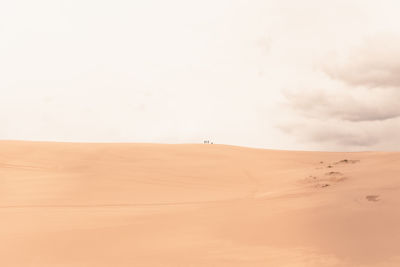 Scenic view of desert against sky