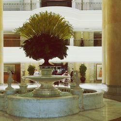 architecture