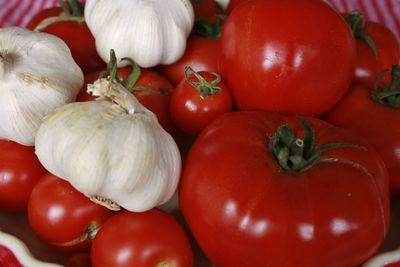 Close-up of tomatoes