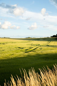 Scenic view of agricultural field against sky