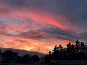 Silhouette trees against orange sky