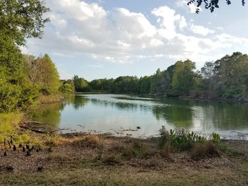 Scenic view of lake in forest against sky