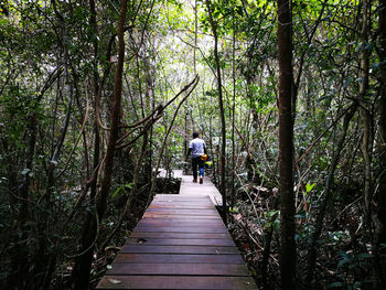 Rear view of man walking on footbridge in forest