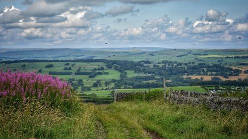 Scenic view of field against cloudy sky