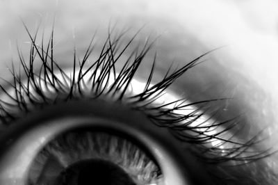 Extreme close up of human eye