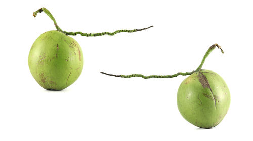 Close-up of apple against white background