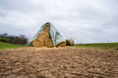 field