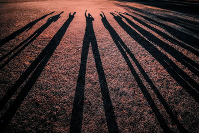 High angle view of shadows on road