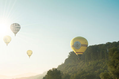 Hot air balloons in oeventrop in morning mist. warsteiner international montgolfiade