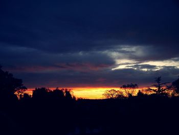 Silhouette of trees at sunset