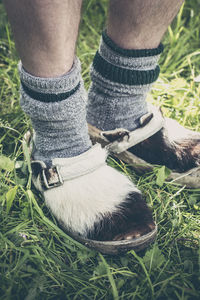 Low section of man wearing shoes on grass