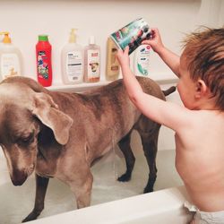 Baby boy washing his dog