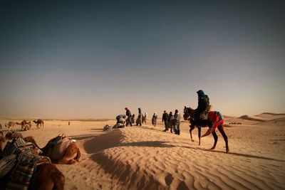 People and camels at desert against sky