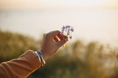 Cropped image of woman holding flower against sky during sunset