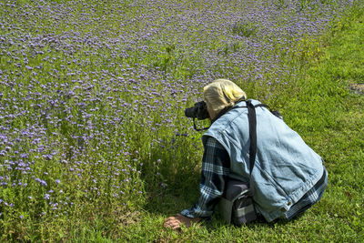 Woman photographs the plant phacelia tanacetifolia and bees that diligently collect pollen.