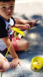 Close-up of boy looking at flower held by hand