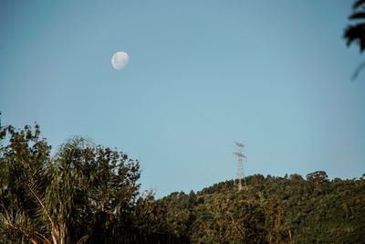 Low angle view of trees against clear blue sky