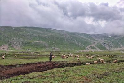 landscape