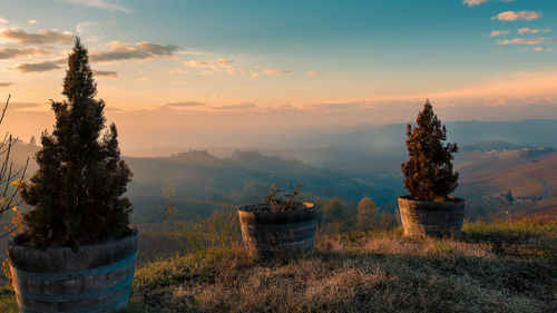 Panoramic view of trees on field against sky during sunset