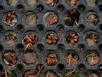 Full frame shot of patterned wall