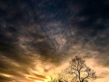 Low angle view of bare tree against dramatic sky