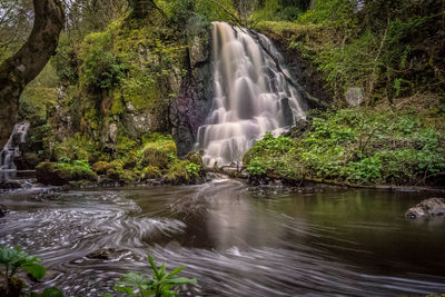 Scenic view of waterfall in forest