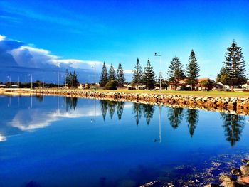 Reflection of trees in water