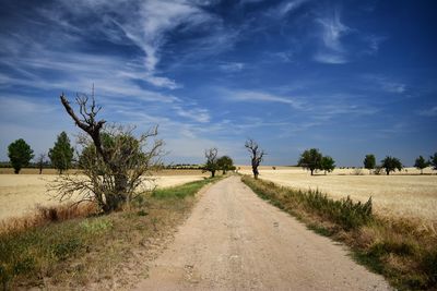 Dirt road along landscape and against sky