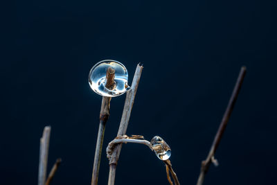 Low angle view of metal against blue sky