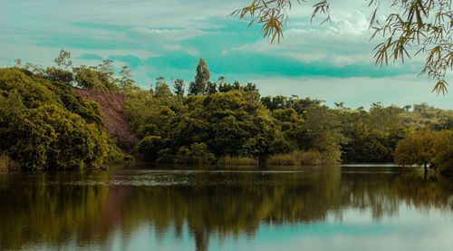 Scenic view of lake by trees against sky