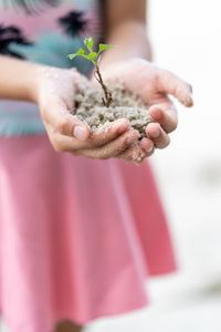 Close-up of hand holding plant