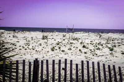 Birds flying over beach against clear sky