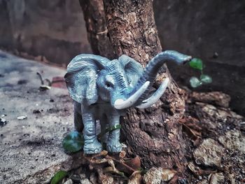 Close-up of mushroom growing on tree trunk