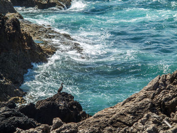 Scenic view of rocks in sea