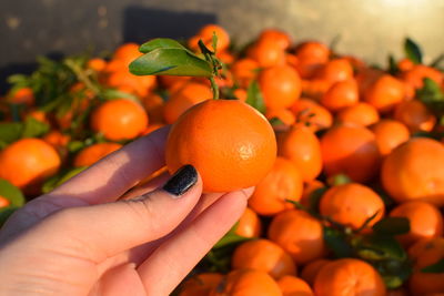 Close-up of hand holding orange