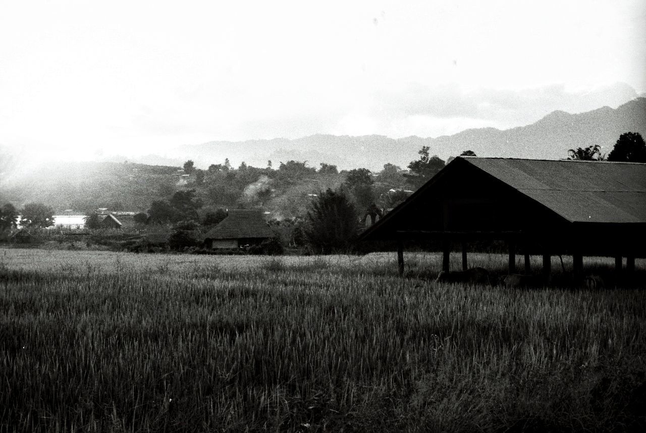 SCENIC VIEW OF FARM AGAINST SKY