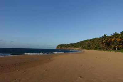 Scenic view of beach against clear sky