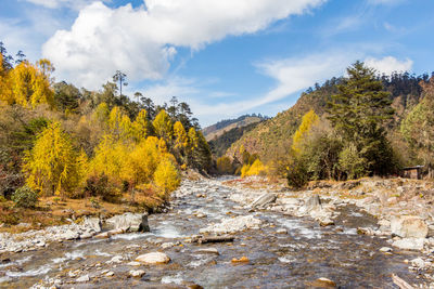 Scenic view of landscape against sky during autumn