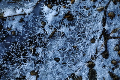 Full frame shot of frozen water