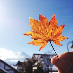 Close-up of hand holding maple leaf against sky