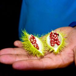 Close-up of hand holding fruit