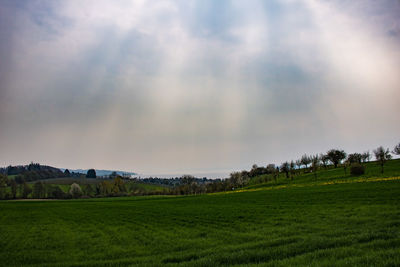 Scenic view of landscape against sky