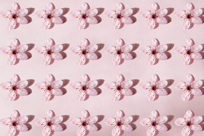 Full frame shot of seashells