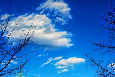 Low angle view of bare trees against blue sky