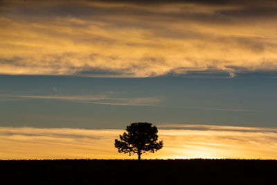 Silhouette trees on field against dramatic sky during sunset