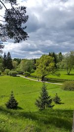 Trees on field against sky