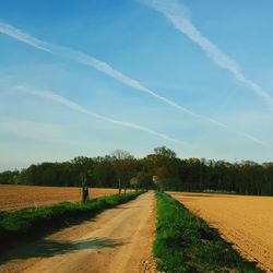 Road amidst trees on field against sky