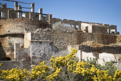 Plants growing in old building against clear sky