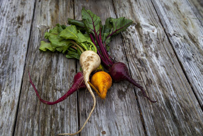 High angle view of radishes on table